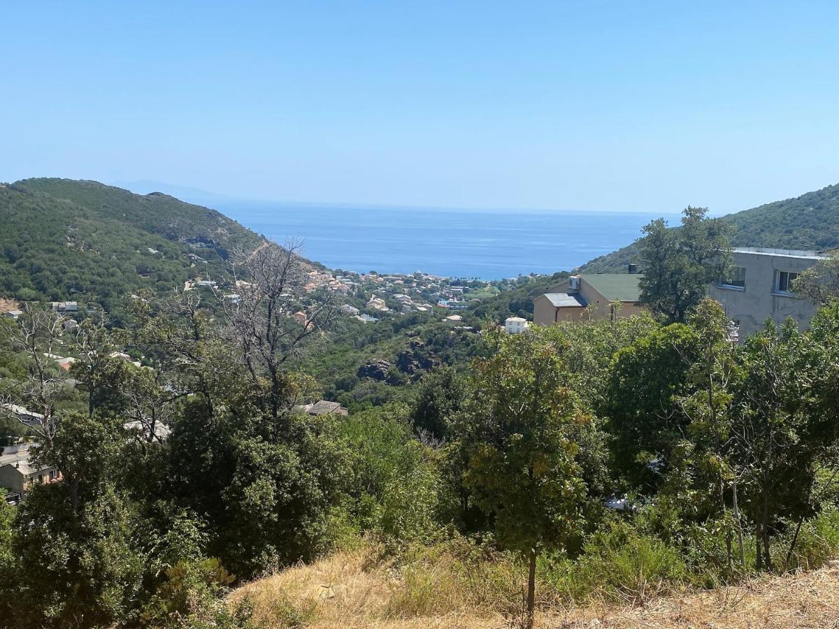 U Cavallu - Luxe Entre Mer Et Montagne Santa-Maria-di-Lota Kültér fotó